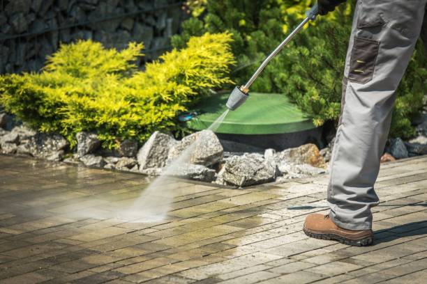 Animal Enclosure Cleaning in Lexington Park, MD